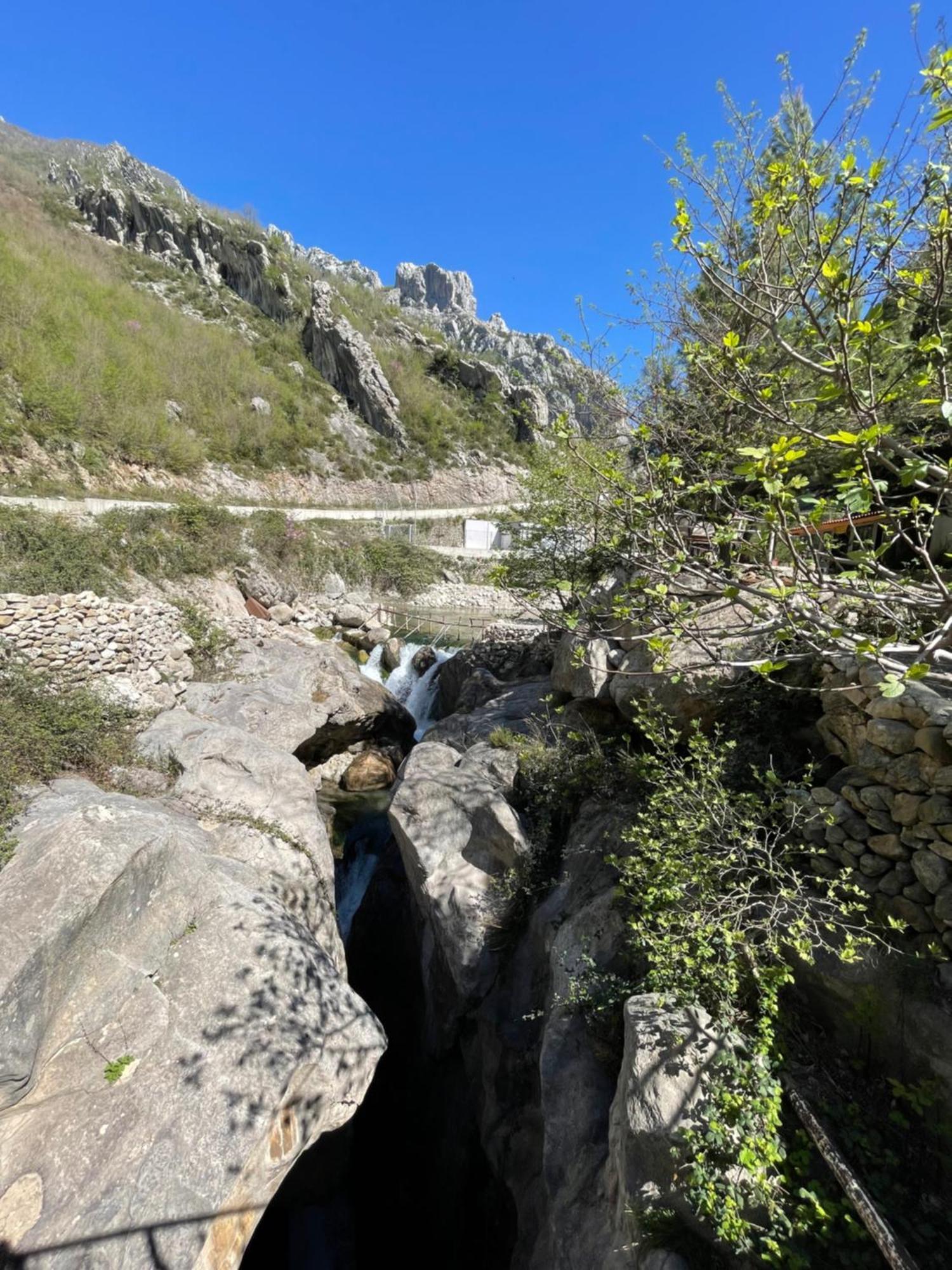 Bovilla Canyon داجتي المظهر الخارجي الصورة
